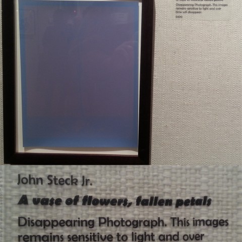 A vase of flowers, fallen petals  by John Steck Jr.
Disappearing Photograph.
This image remains sensitive to light and over time will disappear.